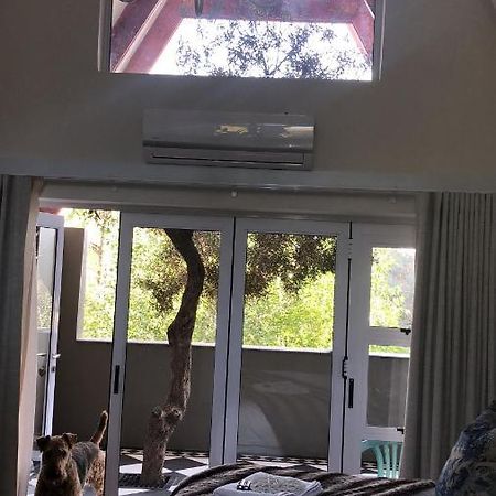 Bella Blue Guesthouse Μπλουμφοντέιν Εξωτερικό φωτογραφία
