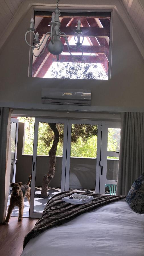 Bella Blue Guesthouse Μπλουμφοντέιν Εξωτερικό φωτογραφία